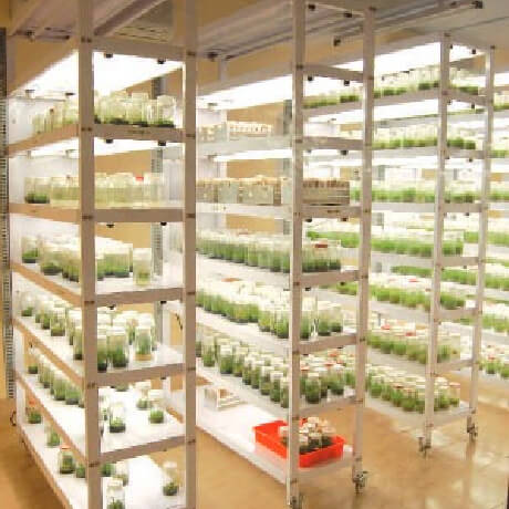 precision laboratory furniture Industries buy tissue culture rack